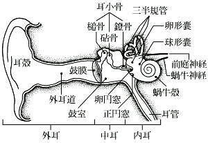増田耳鼻科医院の病院紹介写真2