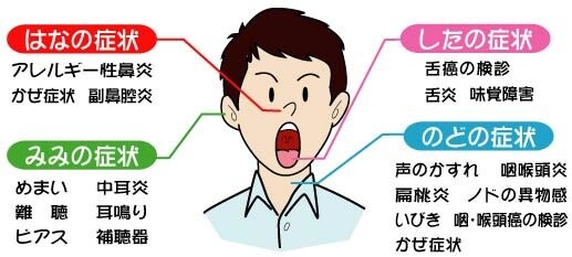 診療内容