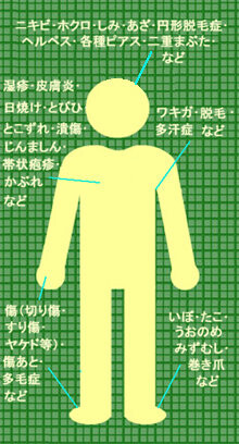 清瀬皮フ科・形成外科クリニックの病院紹介写真1