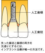 image1.jpg