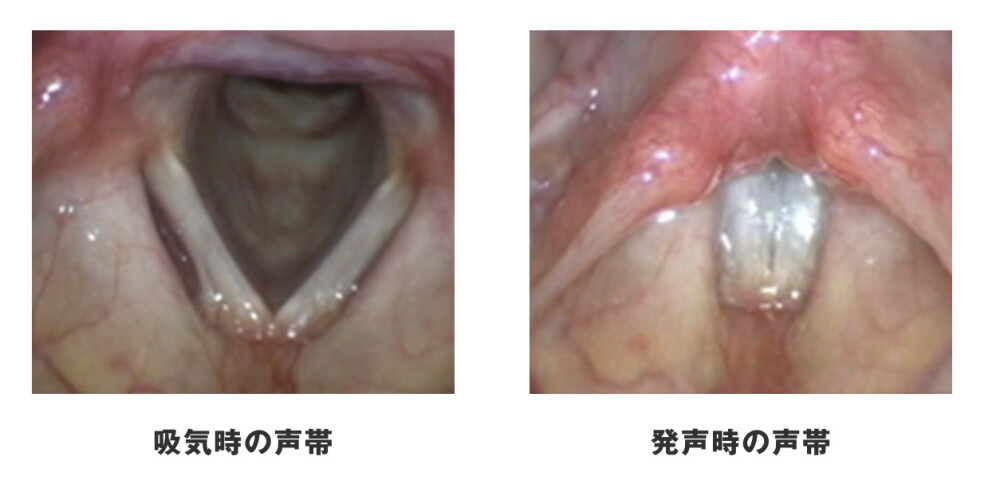 東京ボイスクリニック品川耳鼻いんこう科の病院紹介写真1