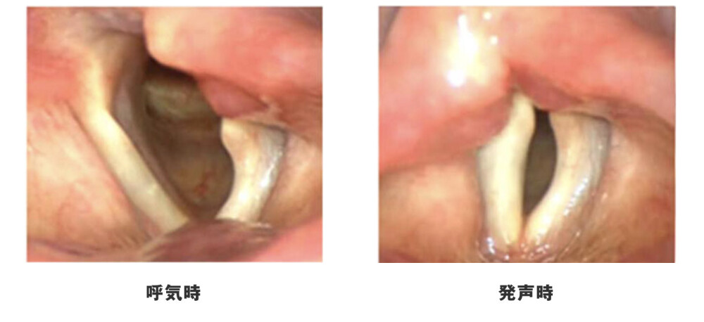 東京ボイスクリニック品川耳鼻いんこう科の病院紹介写真10