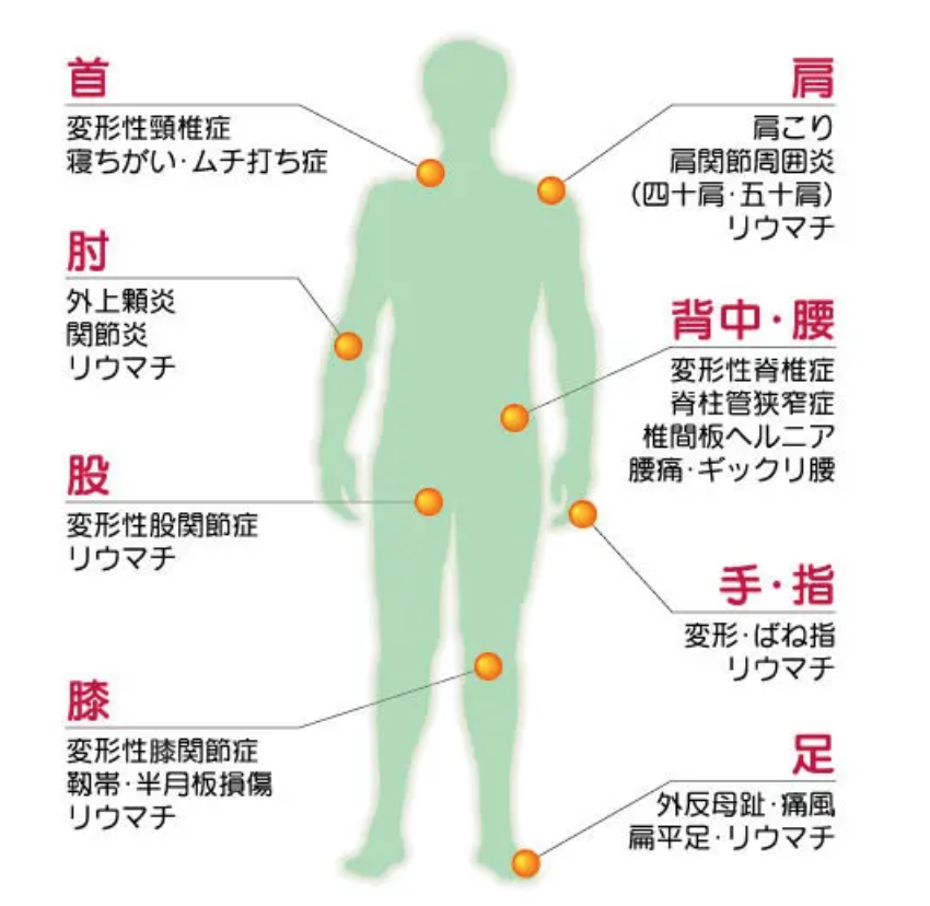おおつき整形外科リウマチ科の病院紹介写真1